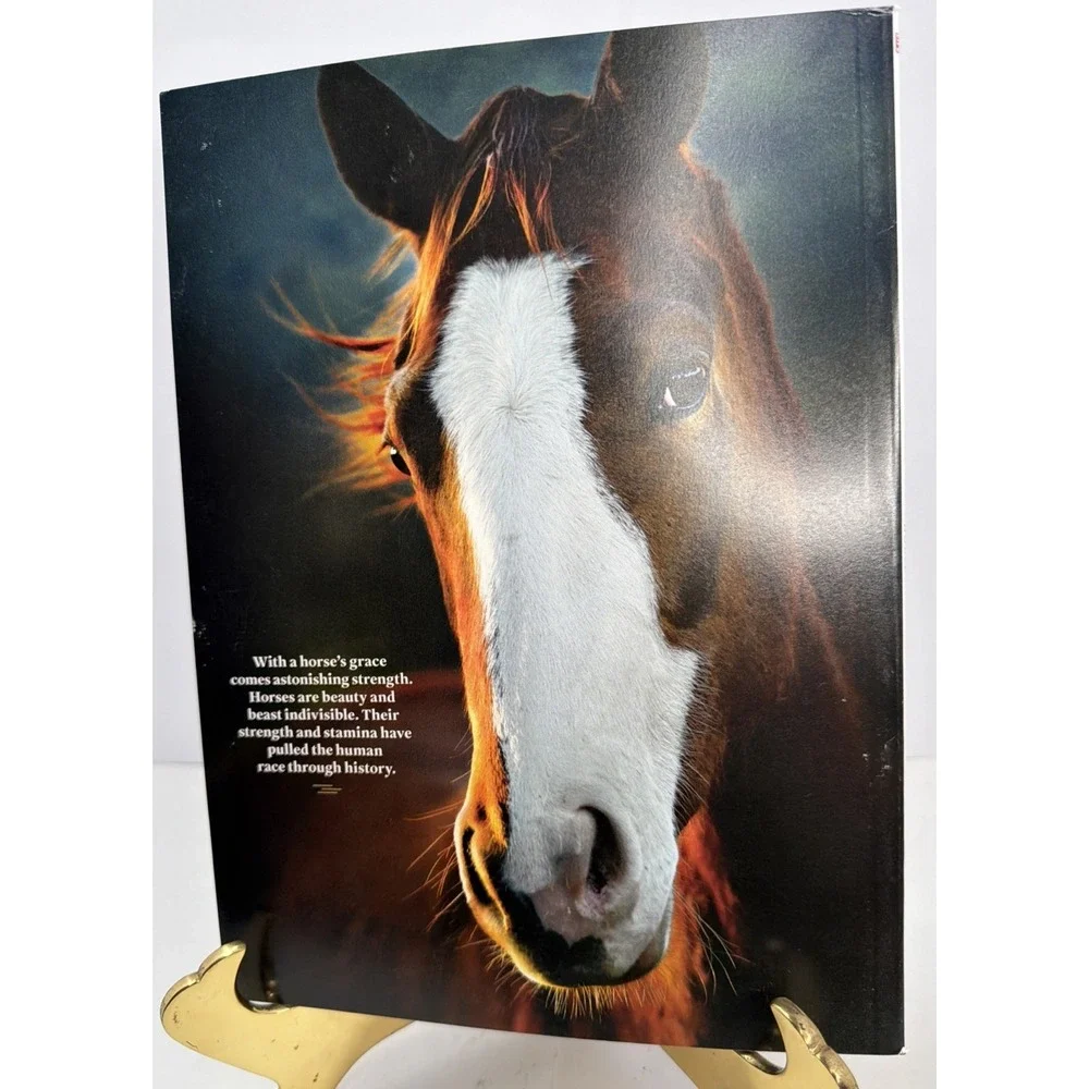 Life June 2026 Magazine Horses Power and Grace Human-Horse Bond Why We Love